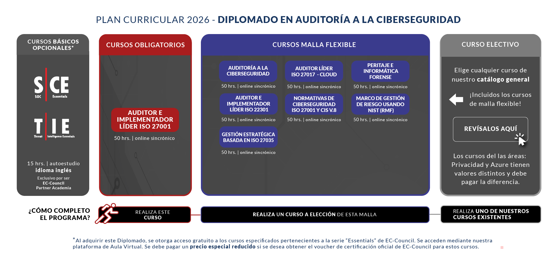 Malla 2025 – Diplomado en Auditoría a la Ciberseguridad